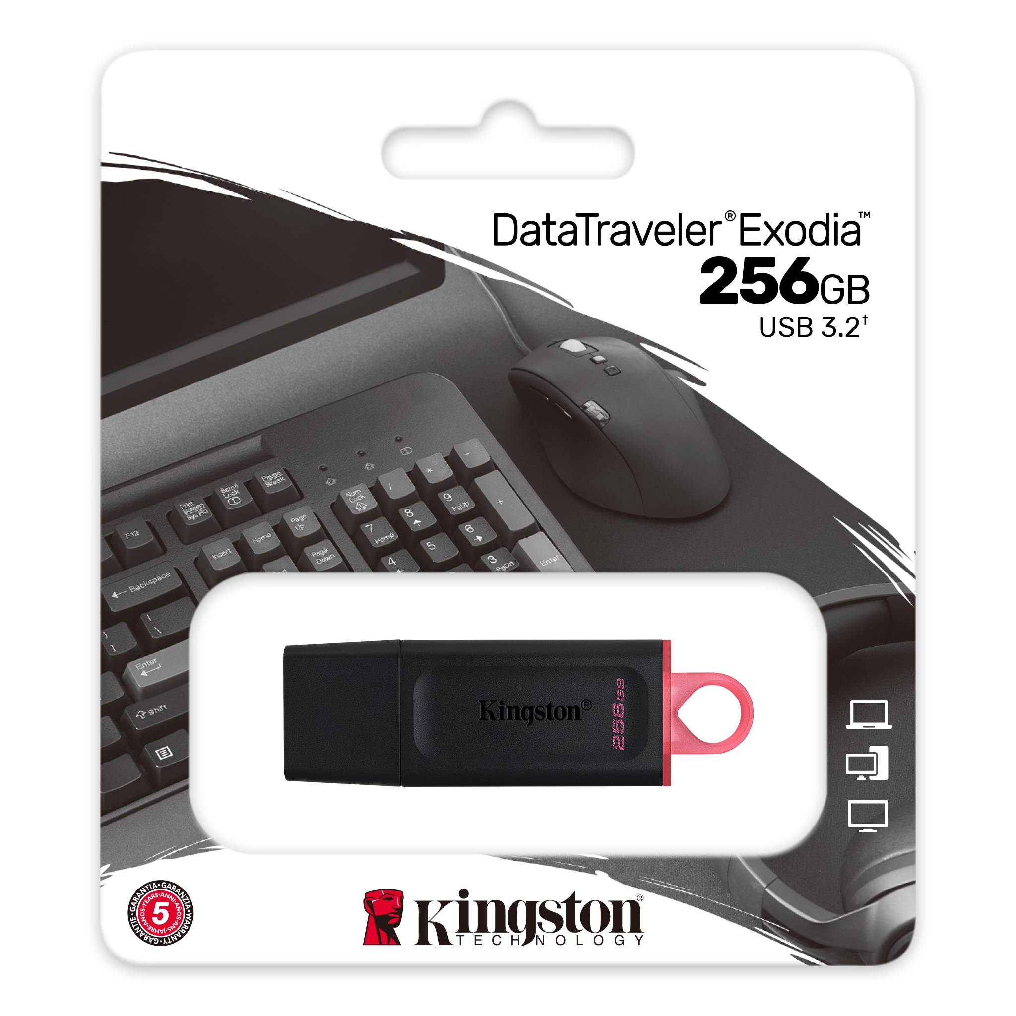 Kingston 256 GB Exodia USB 3.2 Gen1 DTX/256GB Flash Bellek